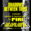 DJ Piri - Shadows Between Trees
